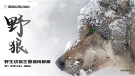 动物主题风格通用ppt模板