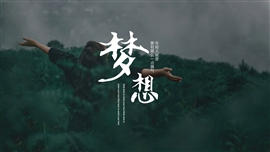 文艺杂志风答辩职业规划ppt模板