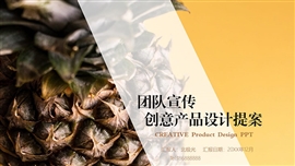 菠萝产品宣传活动策划PPT模板