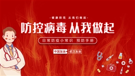 疫情新型肺炎防护手册PPT模板
