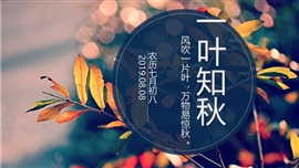 一叶知秋秋天立秋通用ppt模板