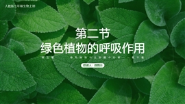 生物绿色植物的呼吸作用PPT课件