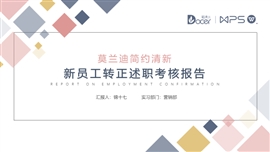 莫兰迪新员工转正述职报告PPT模板