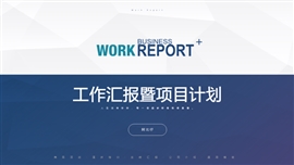 项目开发产品运营工作汇报PPT模板