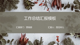 商务文艺风工作总结汇报PPT模板