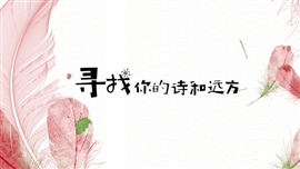 清新羽毛文艺风复古风简约风PPT模板