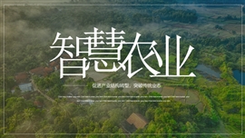 智慧农业现代化解决方案ppt模板