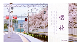 日系和风日本旅游PPT模板