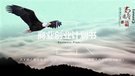 大鹏展翅创业商业计划书PPT模板