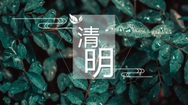 小清新文艺清明节气通用PPT模板