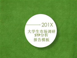 大学生市场调研stp分析报告PPT模板