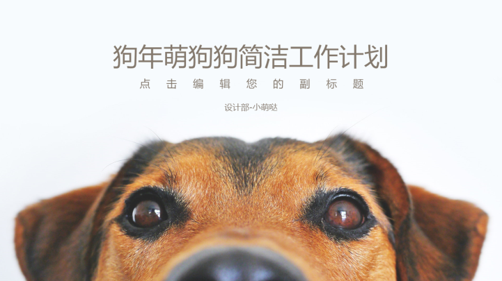 宠物风格年度工作报告PPT模板