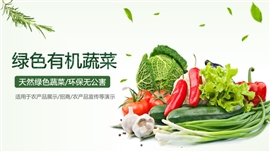 绿色健康养生水果蔬菜果蔬PPT模板