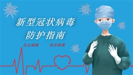 新型冠状病毒防护指南PPT模板