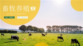 农林牧渔农业养殖通用ppt模板