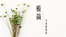 极简小清新工作总结ppt模板