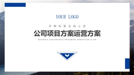 公司项目方案运营方案PPT模板