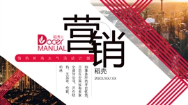 大气商务活动计划PPT模板