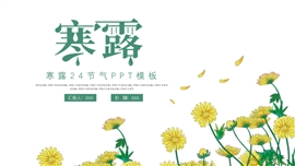 简约大气寒露24节气ppt模板