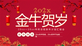 潘通红贺岁年终总结汇报PPT模板
