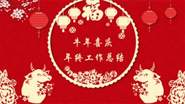 春节喜庆年终工作总结ppt模板