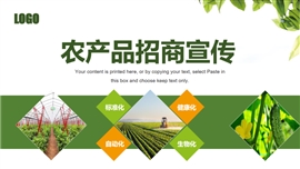 绿色农产品招商宣传PPT模板