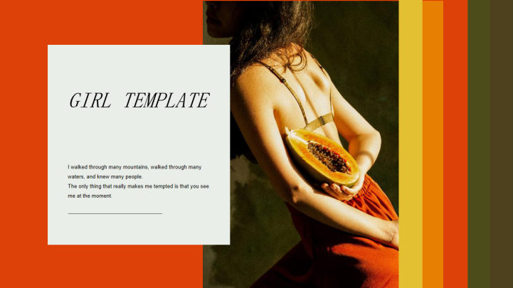 时尚画册风年终总结计划PPT模板