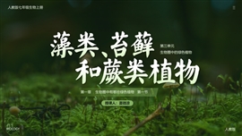 初中生物藻类苔藓和蕨类植物PPT教学课件