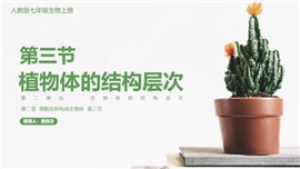 初中生物植物体的结构层次教学PPT课件