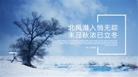 冬季小清新总结汇报通用设计PPT模板