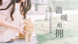 温暖相拥小清新模板通用PPT模板