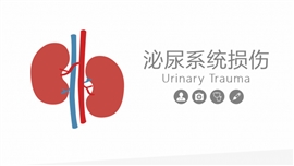 泌尿系统损伤最新课件PPT模板