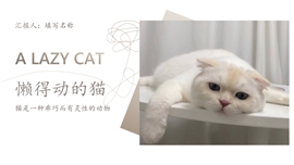 简约小清新宠物喵星人ppt模板