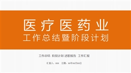 医疗医药业工作总结暨阶段计划PPT模板