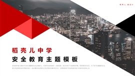 简约大气安全教育主题PPT模板