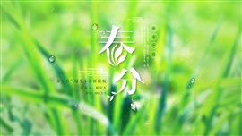 春分节气绿草小清新PPT模板