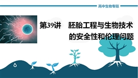 《胚胎工程与生物技术的安全性和伦理问题》PPT课件