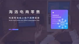 商务风电商企业宣传画册ppt模板