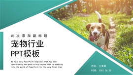 简约风宠物行业通用ppt模板