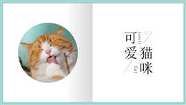 小清新可爱猫咪宠物相册PPT模板