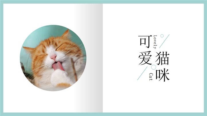 小清新可爱猫咪宠物相册PPT模板