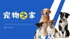 宠物活动营销策划ppt模板