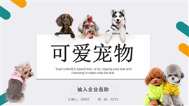 可爱宠物行业兽医宠物店宣传ppt模板