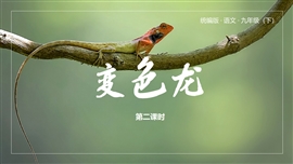 语文九年级下册课件变色龙第2课时PPT模板