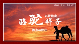 语文七年级下册课件骆驼祥子PPT模板