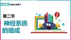 初中生物七年级下册《神经系统的组成》PPT课件