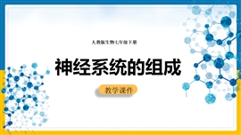 初中生物人教版七年级下册《神经系统的组成》PPT课件