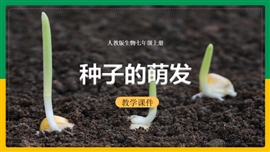 初中生物七年级上册《种子的萌发》PPT课件