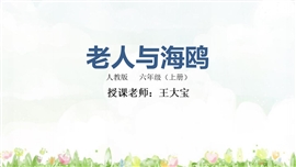 小学语文六年级上册《老人与海鸥》PPT课件