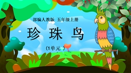 小学语文五年级上册《珍珠鸟》PPT课件
